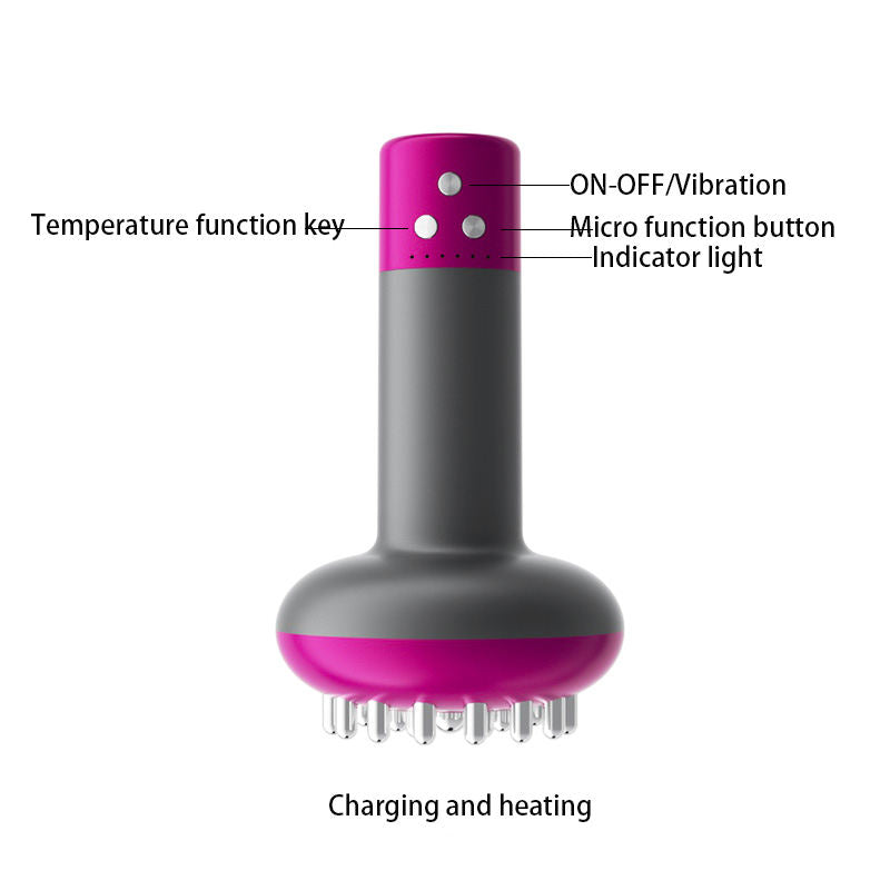 Micro-current  Gua Sha Device Handheld Massager. Meridian Massage Brush for Full Body