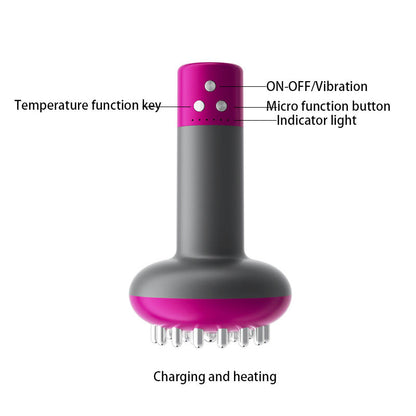 Micro-current  Gua Sha Device Handheld Massager. Meridian Massage Brush for Full Body